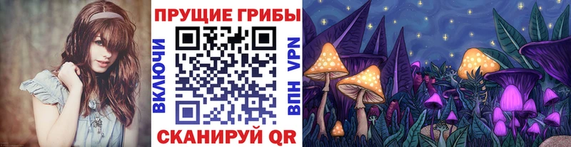 Псилоцибиновые грибы GOLDEN TEACHER  Купить  Верхняя Тура 